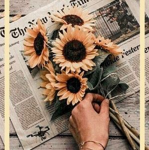 Meet your Posher, Lindsey